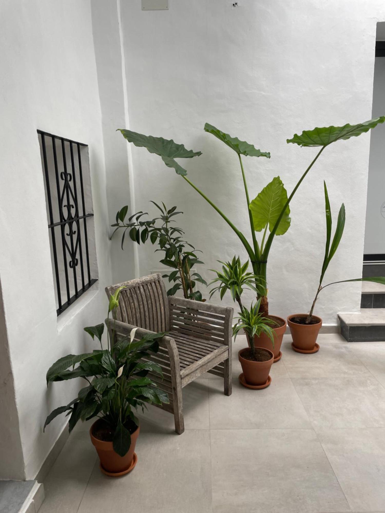 Apartamento Casa Florinda Tarifa Exterior foto