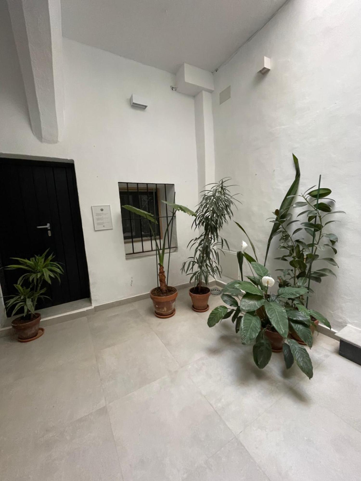 Apartamento Casa Florinda Tarifa Exterior foto